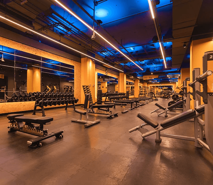Gyms